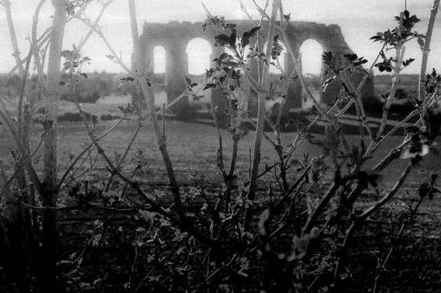 Photograph of An Aqueduct in Sun