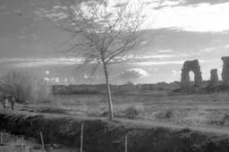 Photograph of Park with Two Faintly Walking Humans Under Puffy Clouds